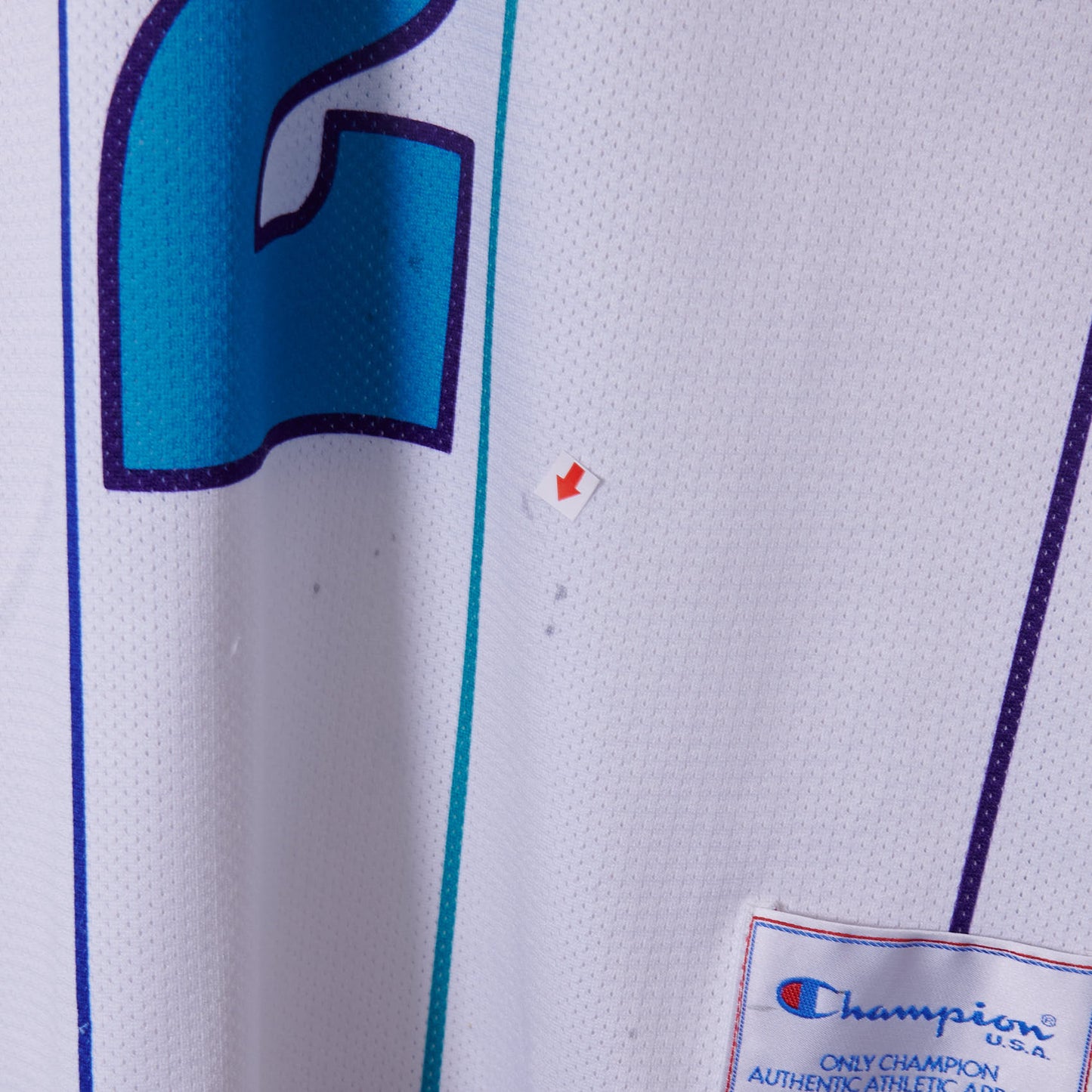 Vintage Charlotte Hornets Champion Jersey #2 L. Johnson Small