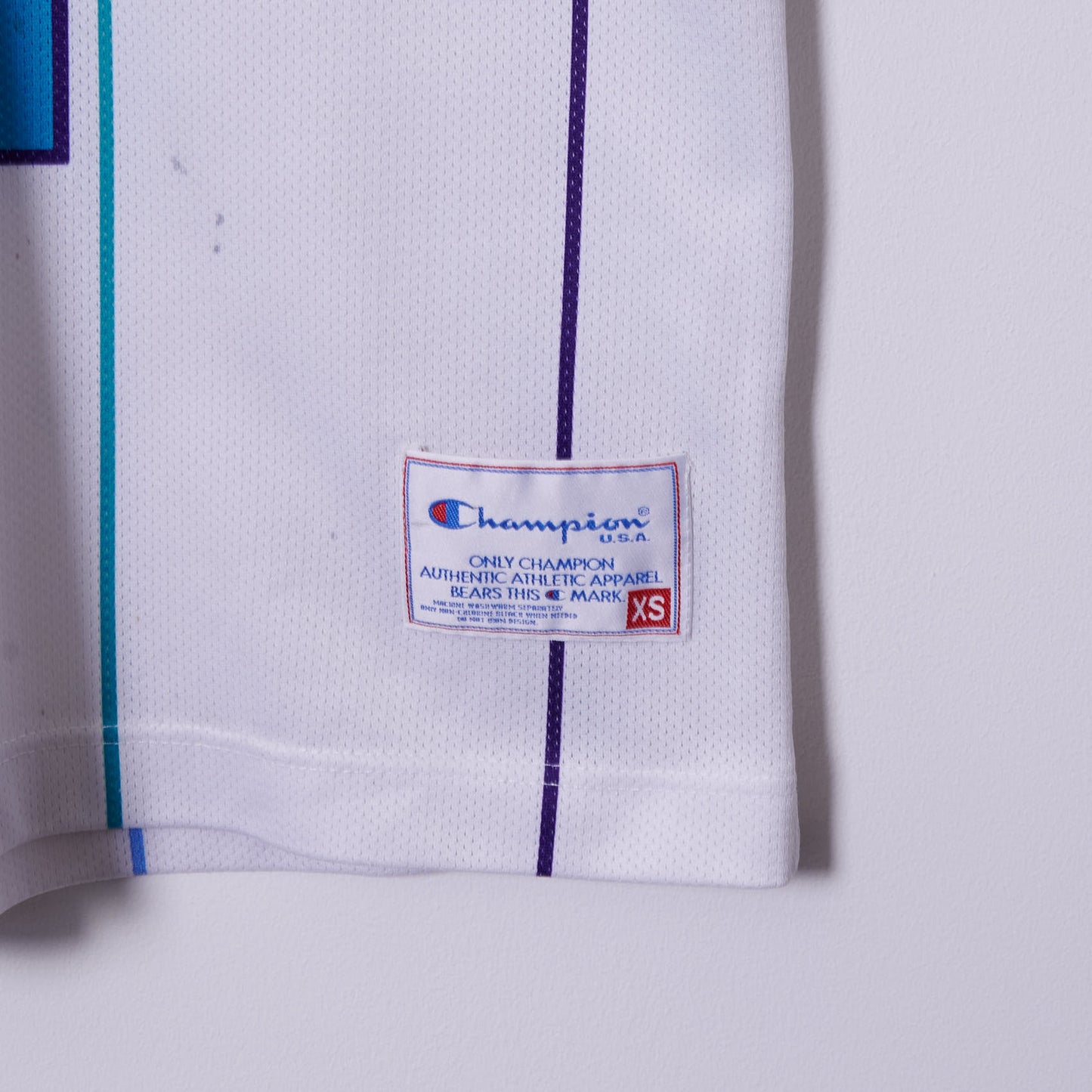 Vintage Charlotte Hornets Champion Jersey #2 L. Johnson Small