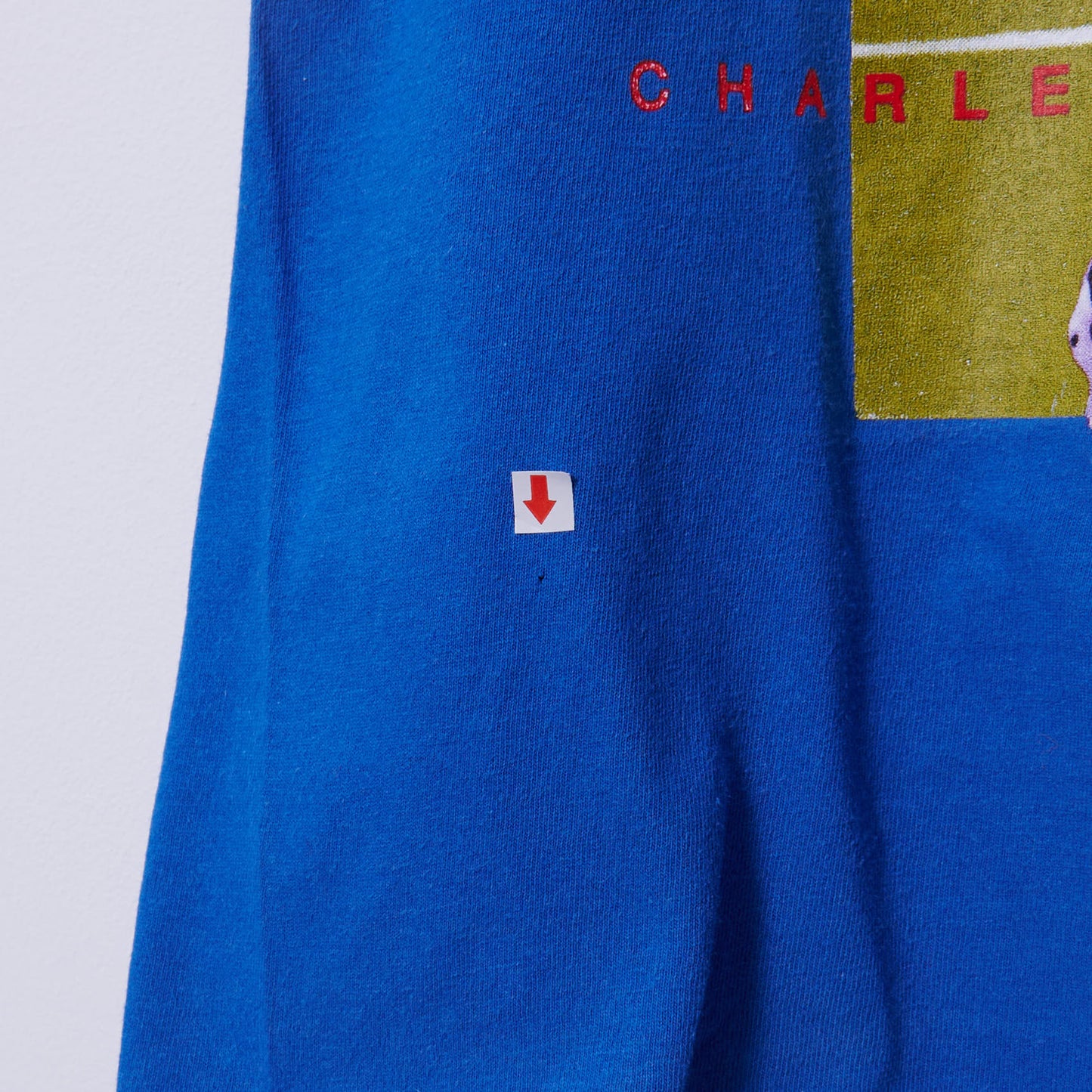 Vintage Charles Barkley Nike T-Shirt Large